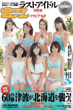 姐姐6电视剧全集在线观看