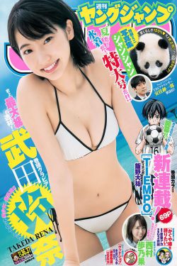 霍元甲在线观看